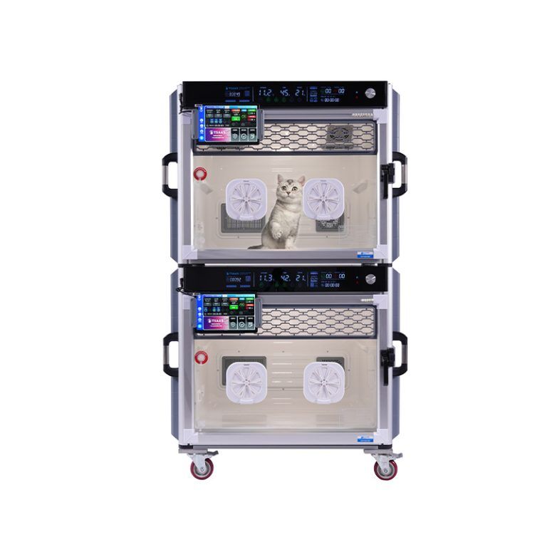 Katzenfreundliche Intensivpflegeeinheit3